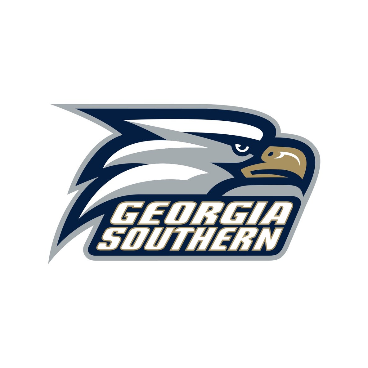 Georgia Southern University