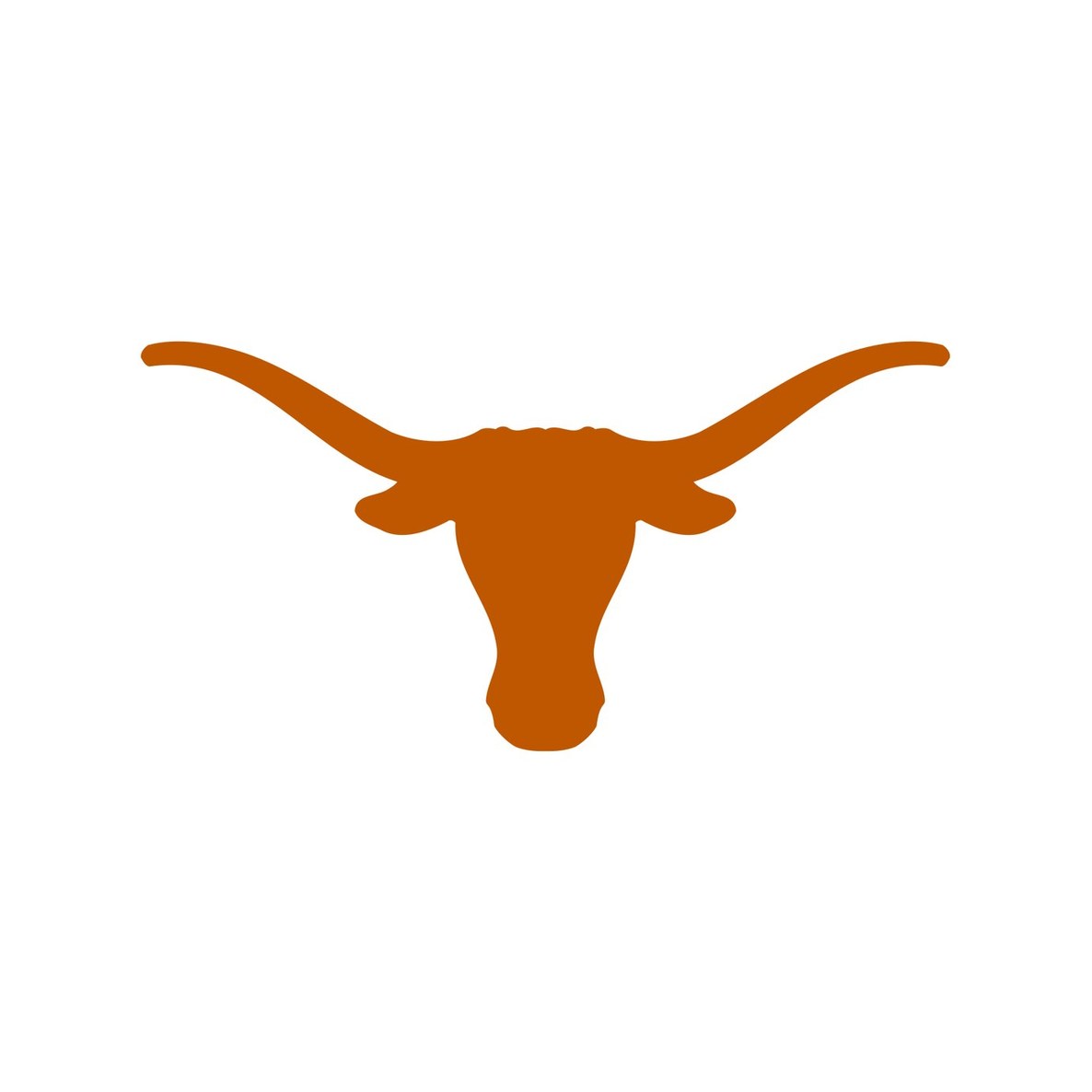 The University of Texas at Austin
