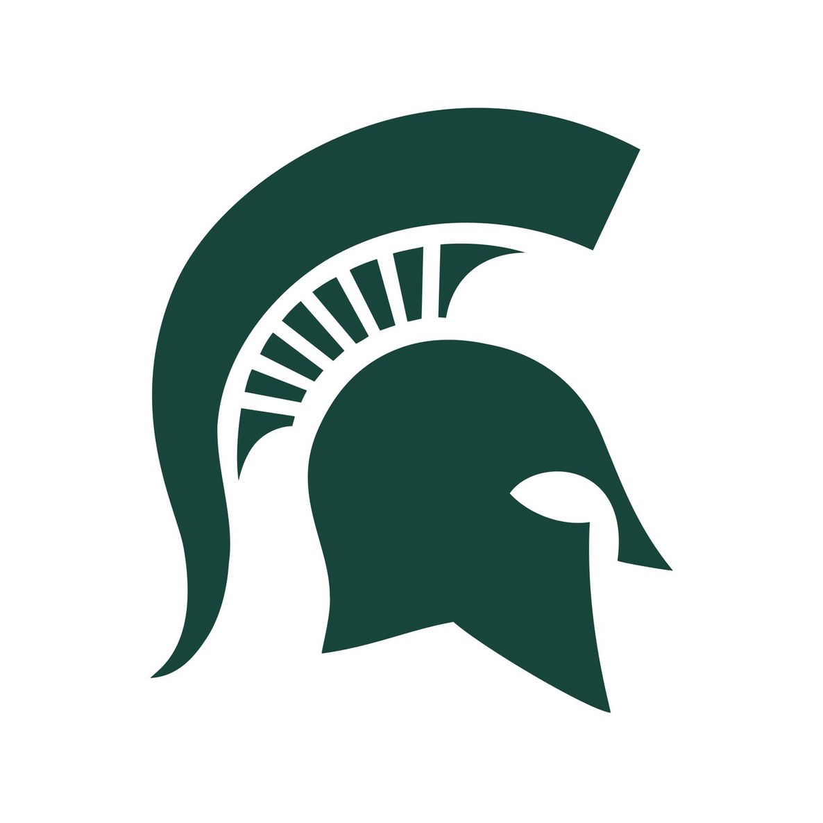 Michigan State University