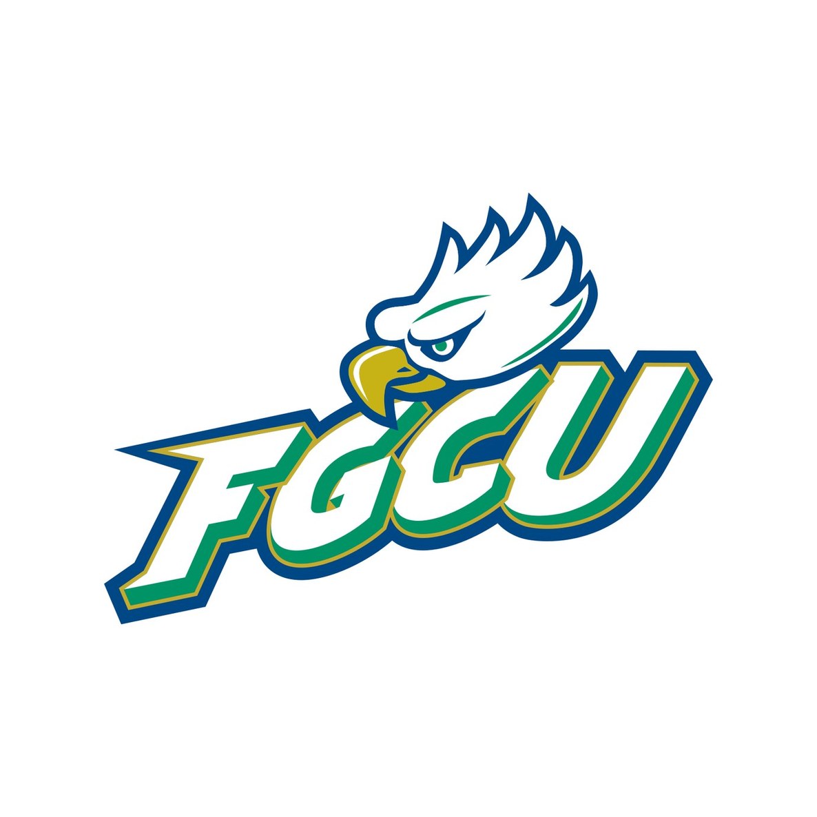 Florida Gulf Coast University