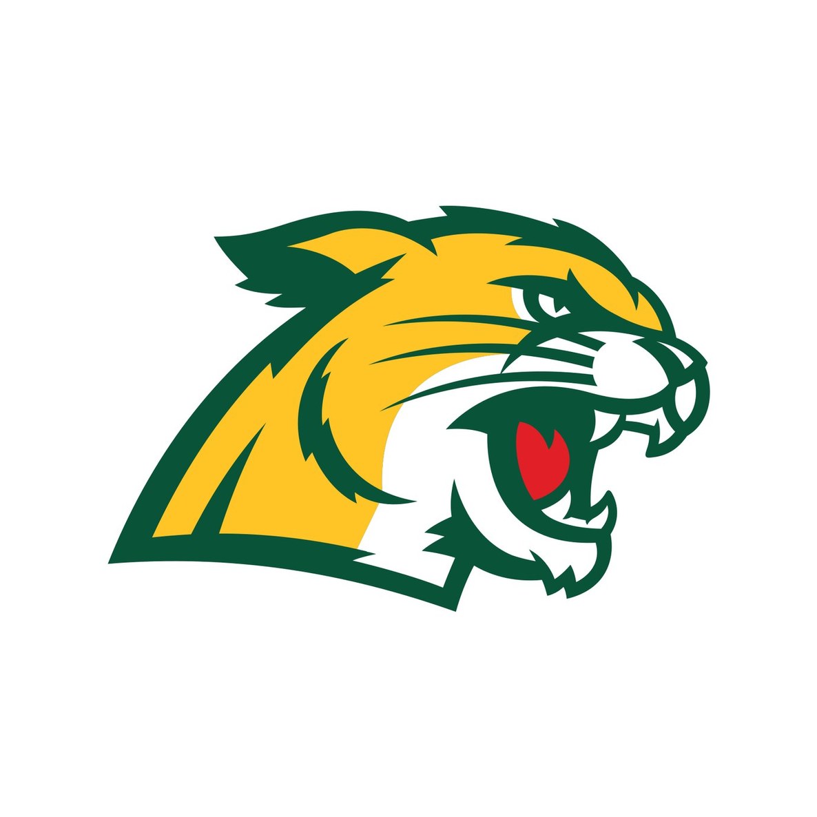 Northern Michigan University