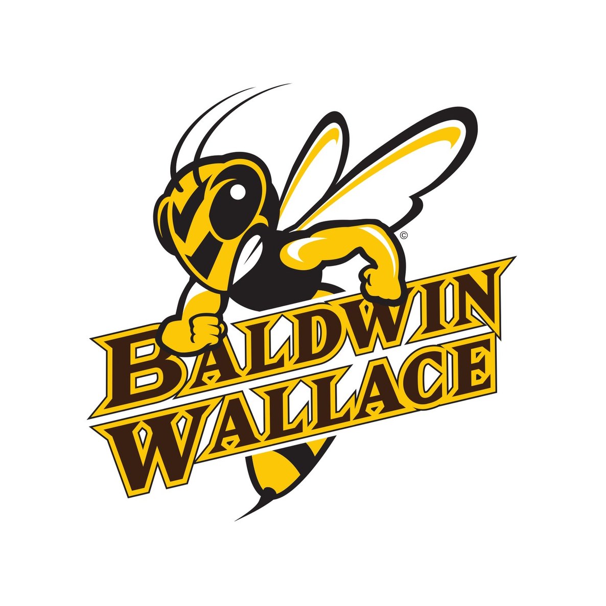Baldwin Wallace University