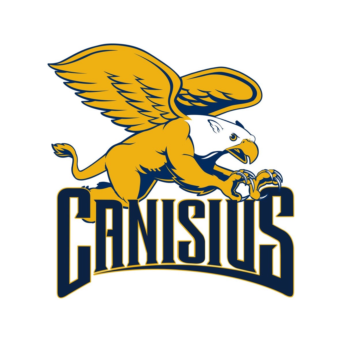 Canisius University