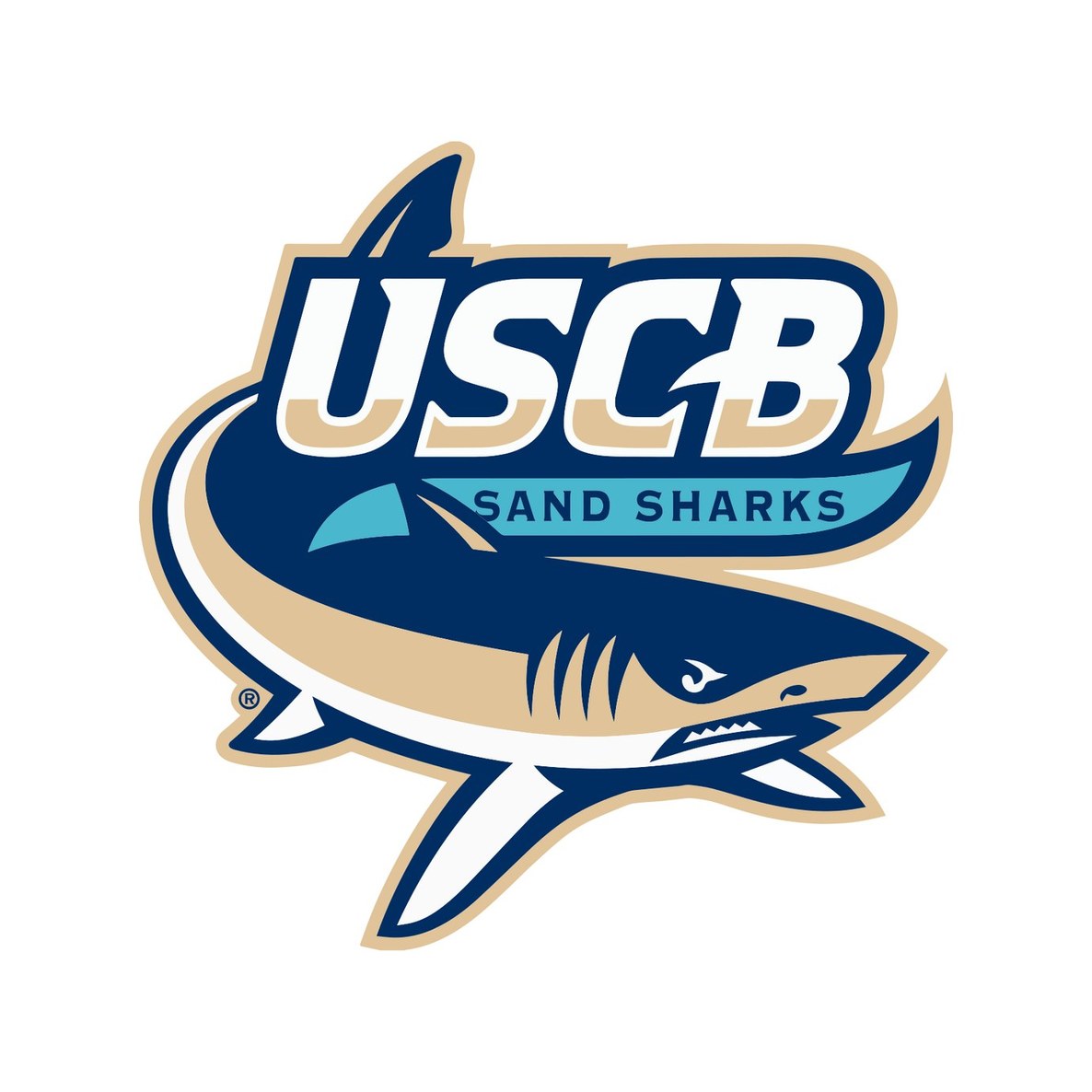 University of South Carolina Beaufort