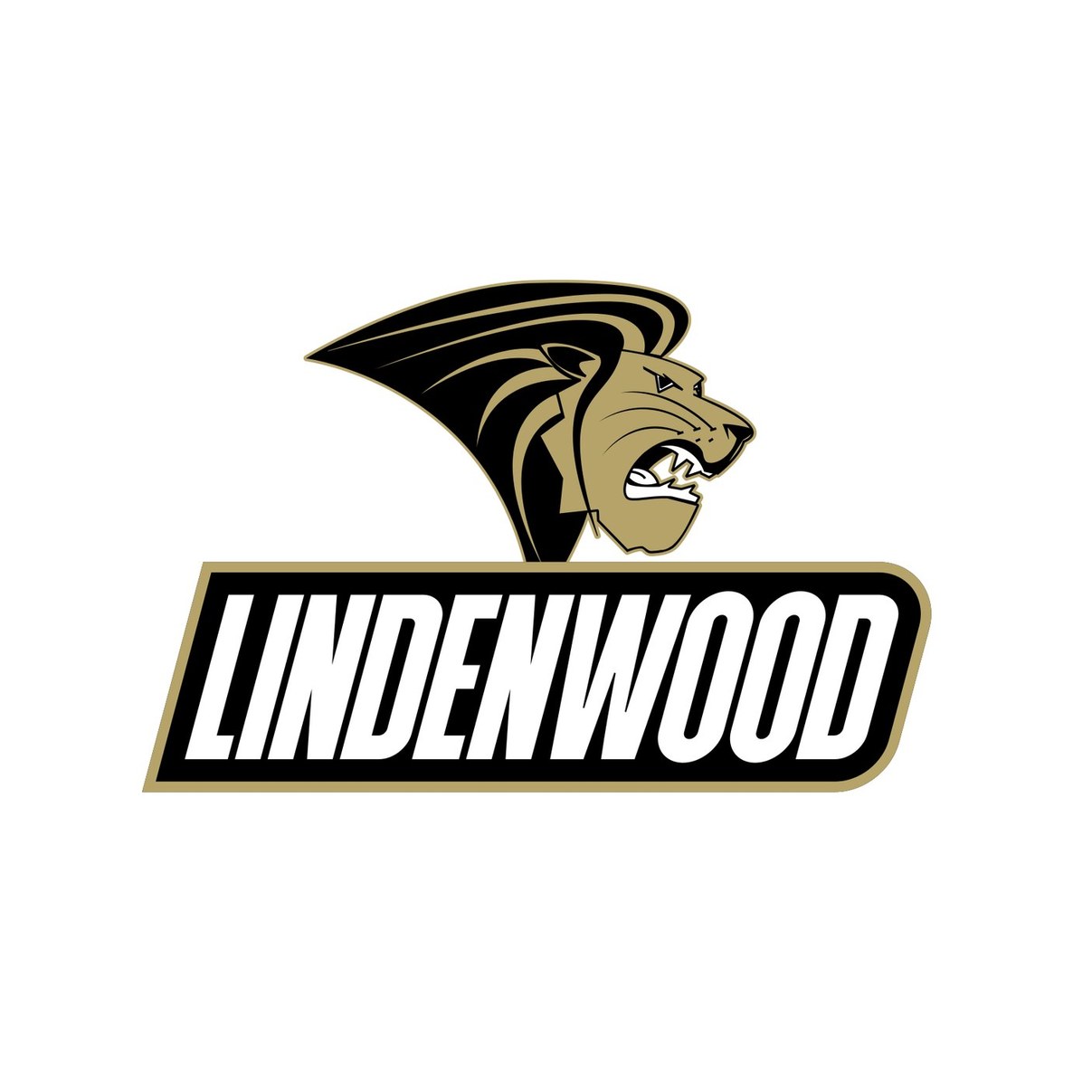 Lindenwood University