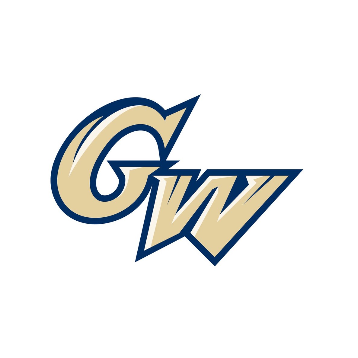 The George Washington University