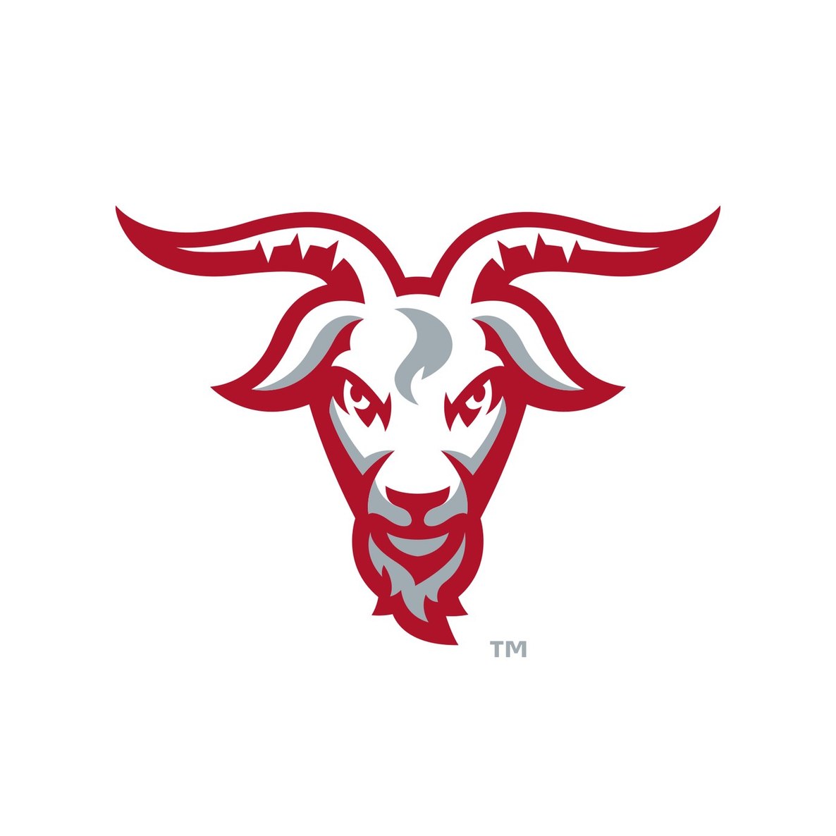Worcester Polytechnic Institute