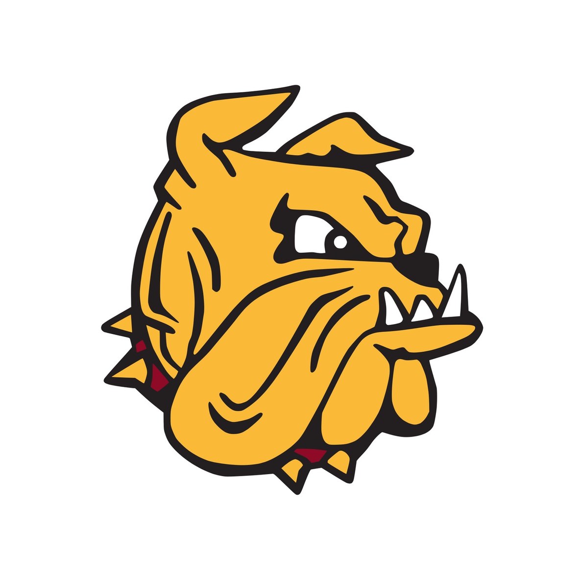 University of Minnesota Duluth