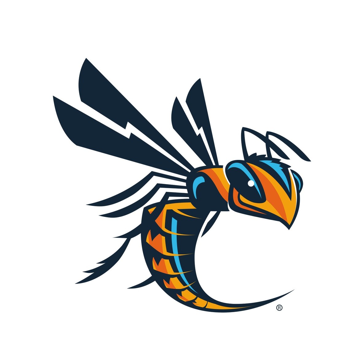 Cedarville University