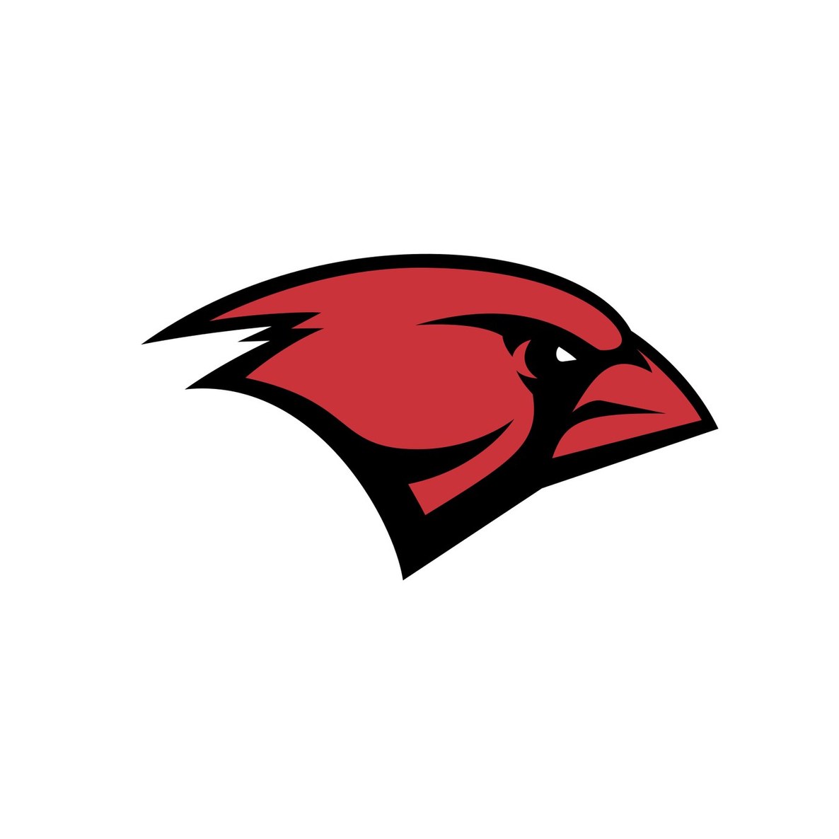 University of the Incarnate Word