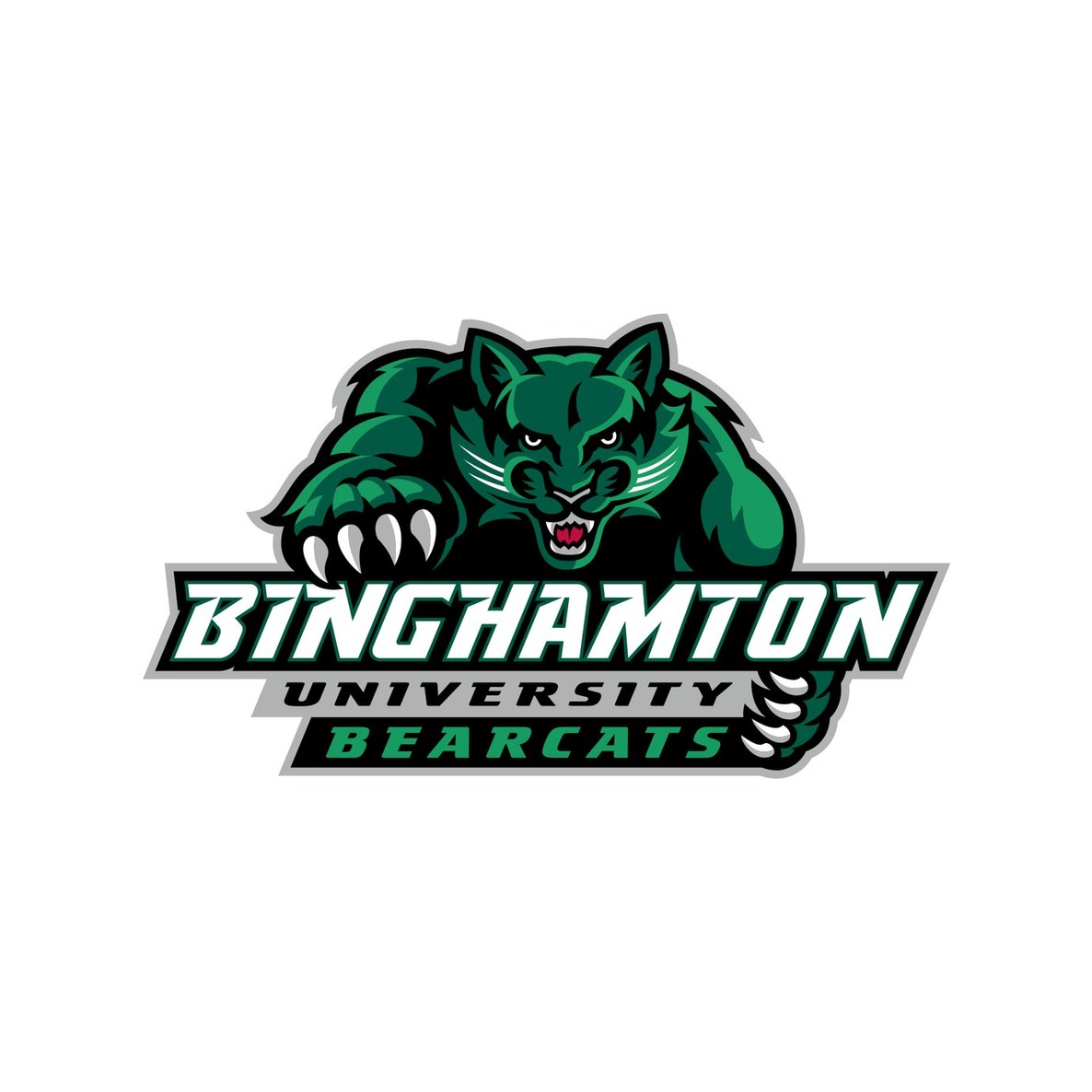 State University of New York at Binghamton
