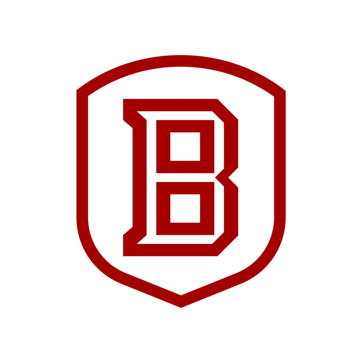 Bradley University
