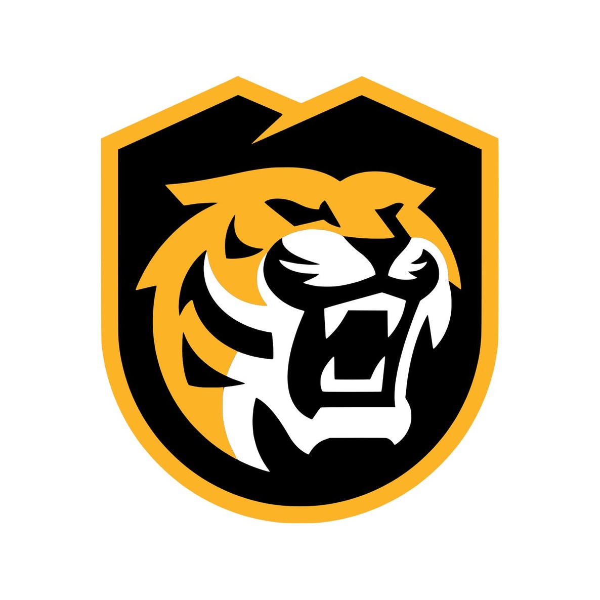 Colorado College