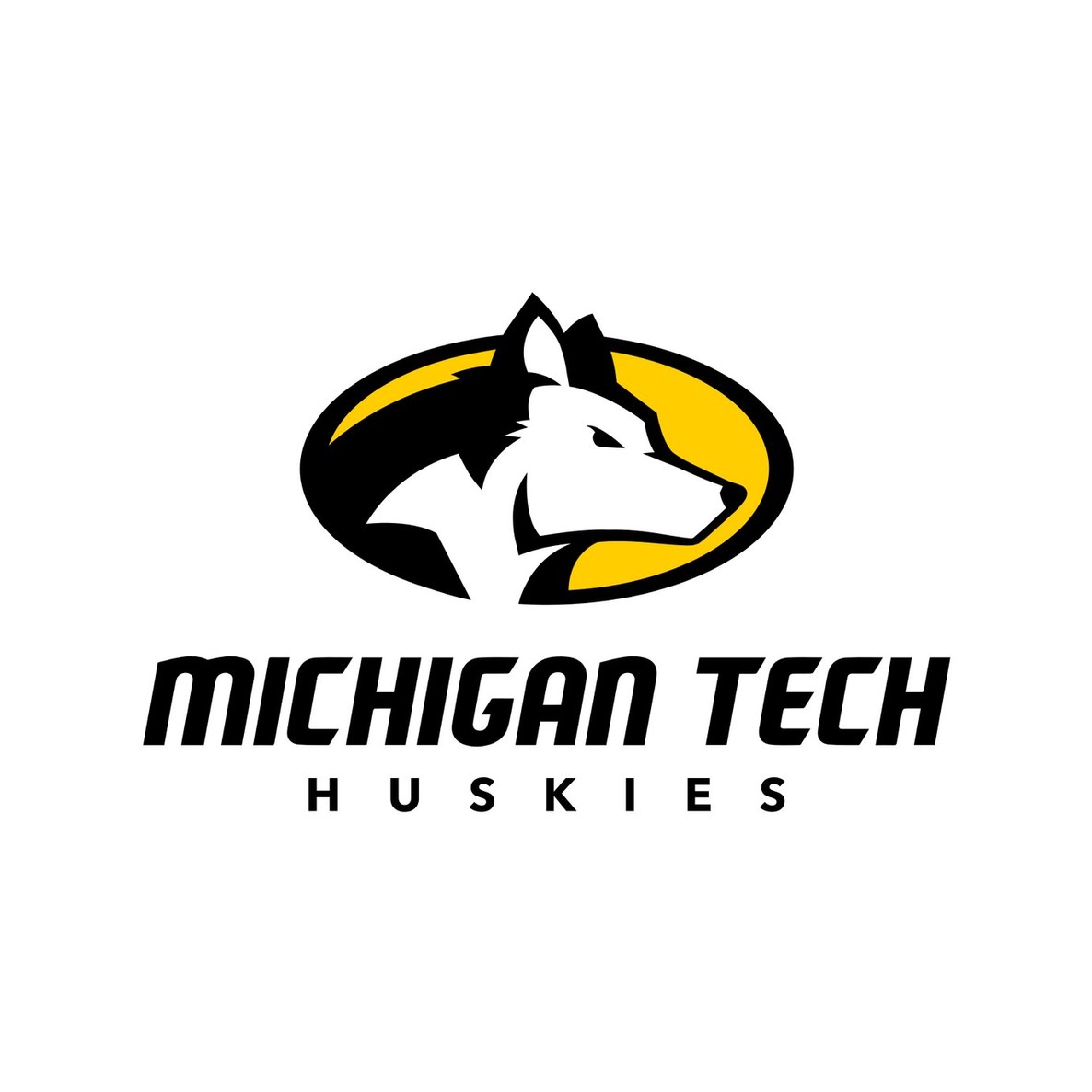 Michigan Technological University