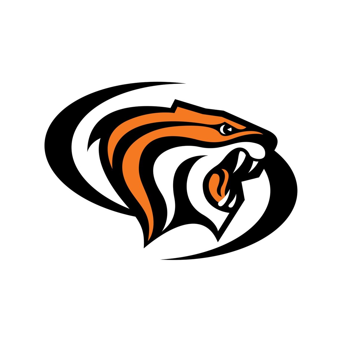 University of the Pacific