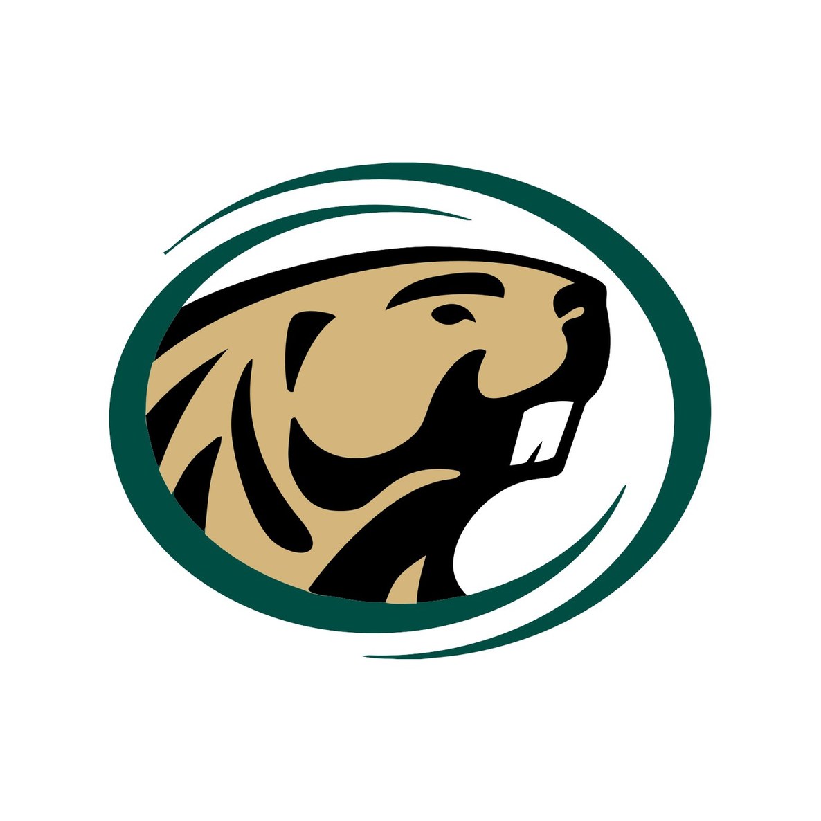 Bemidji State University