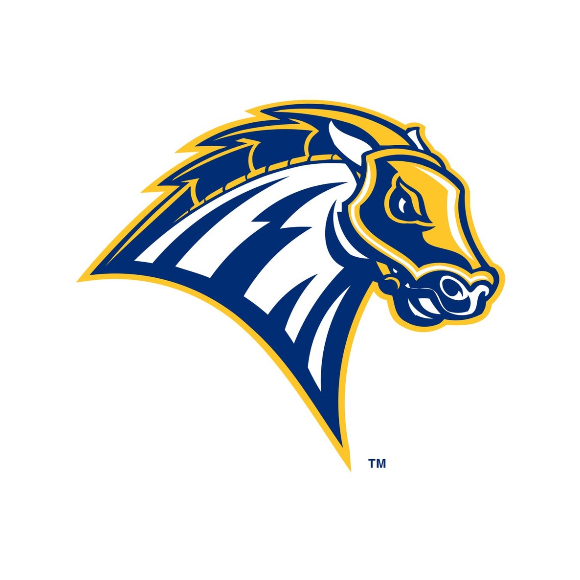 University of New Haven