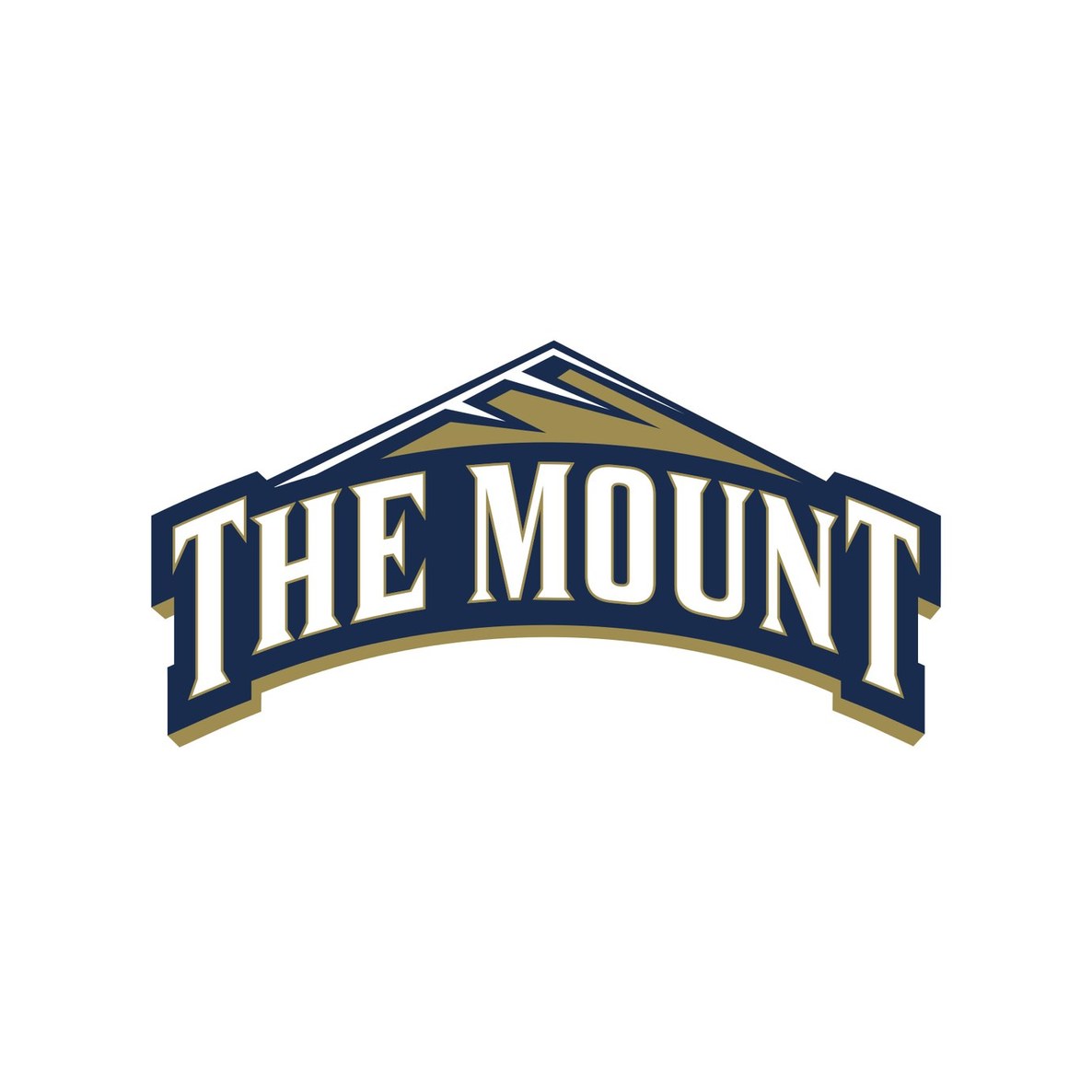 Mount Saint Mary's University
