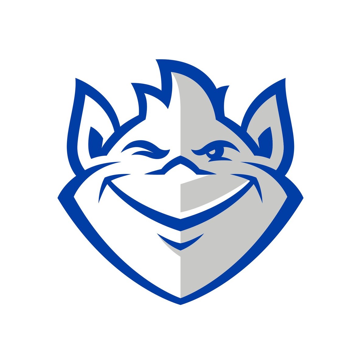 Saint Louis University