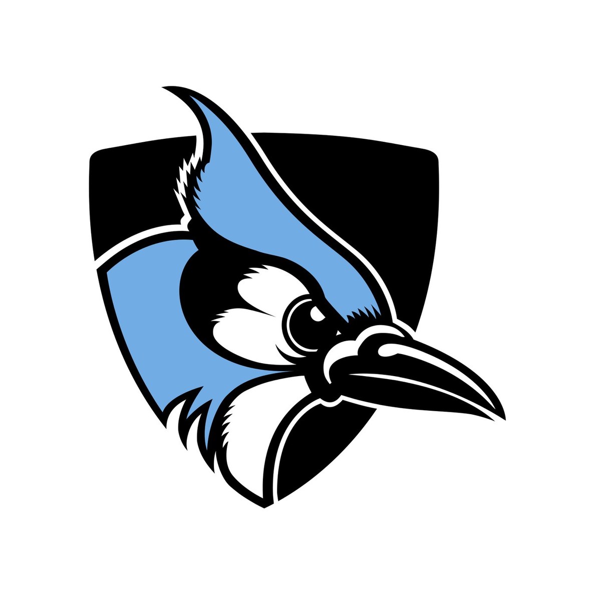 Johns Hopkins University