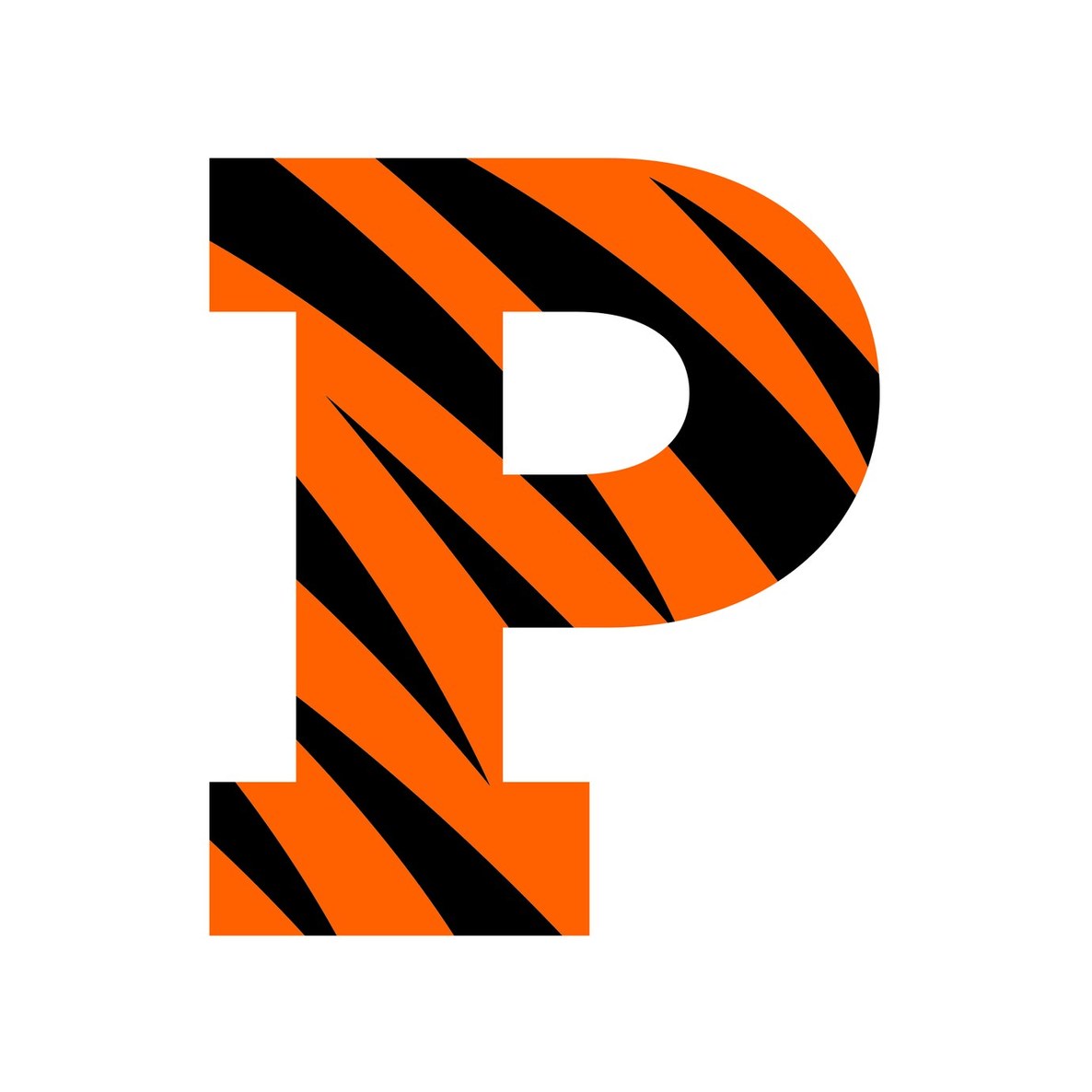 Princeton University
