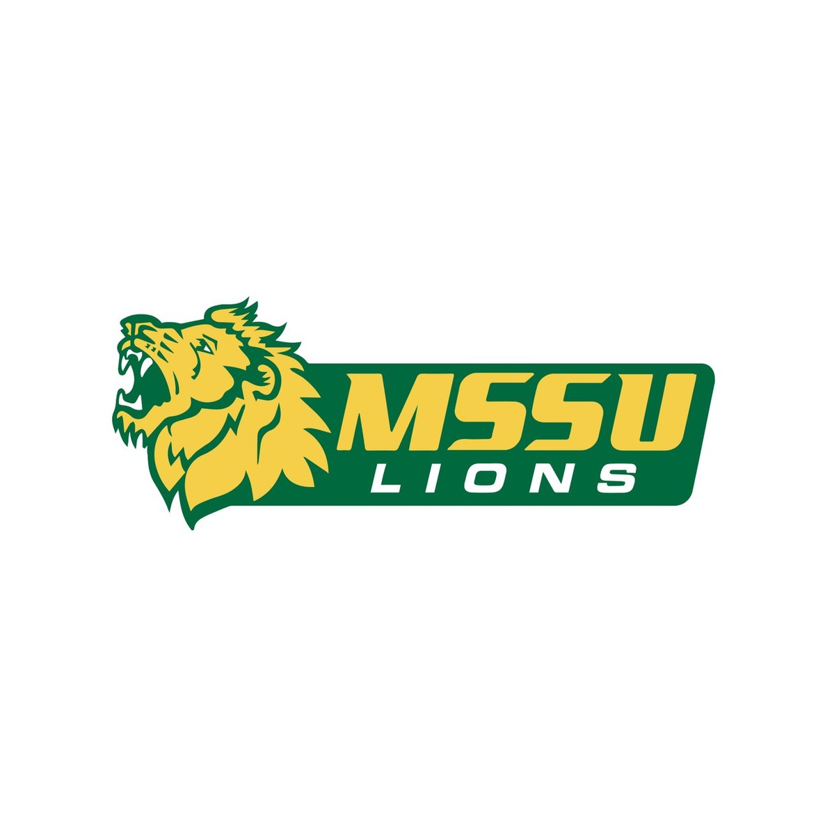 Missouri Southern State University