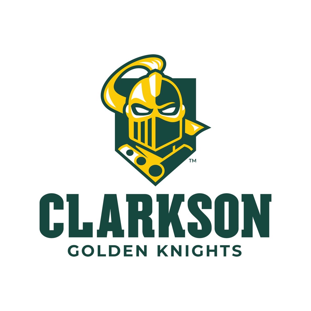 Clarkson University