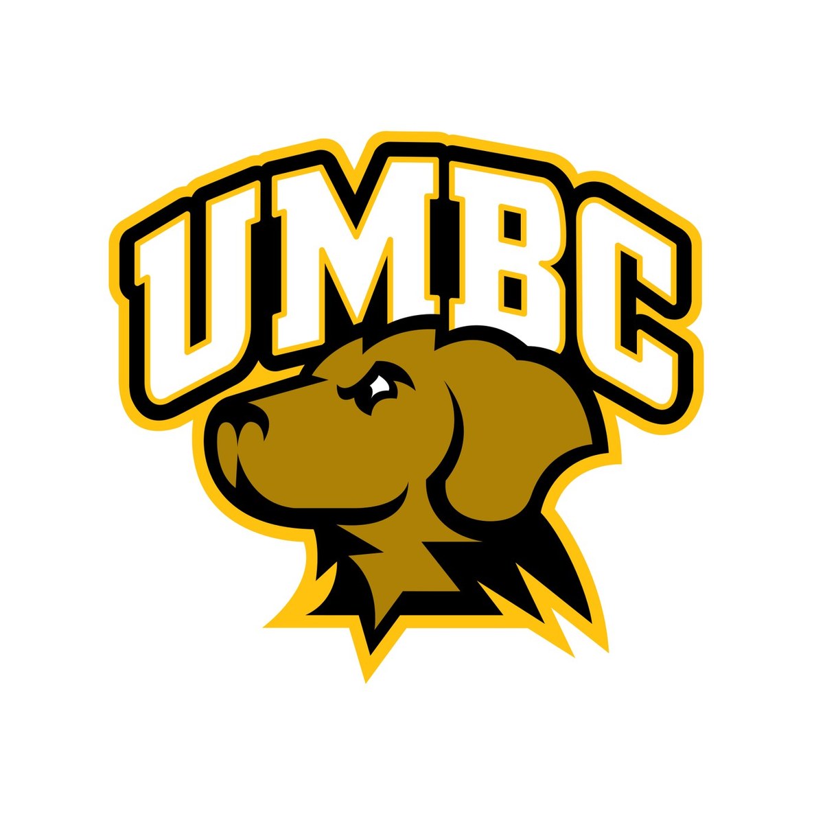 University of Maryland, Baltimore County