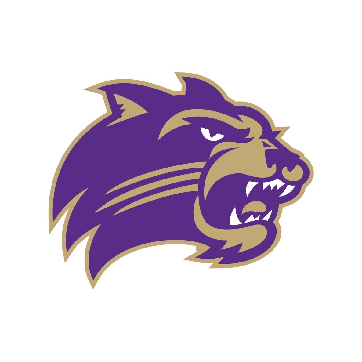 Western Carolina University