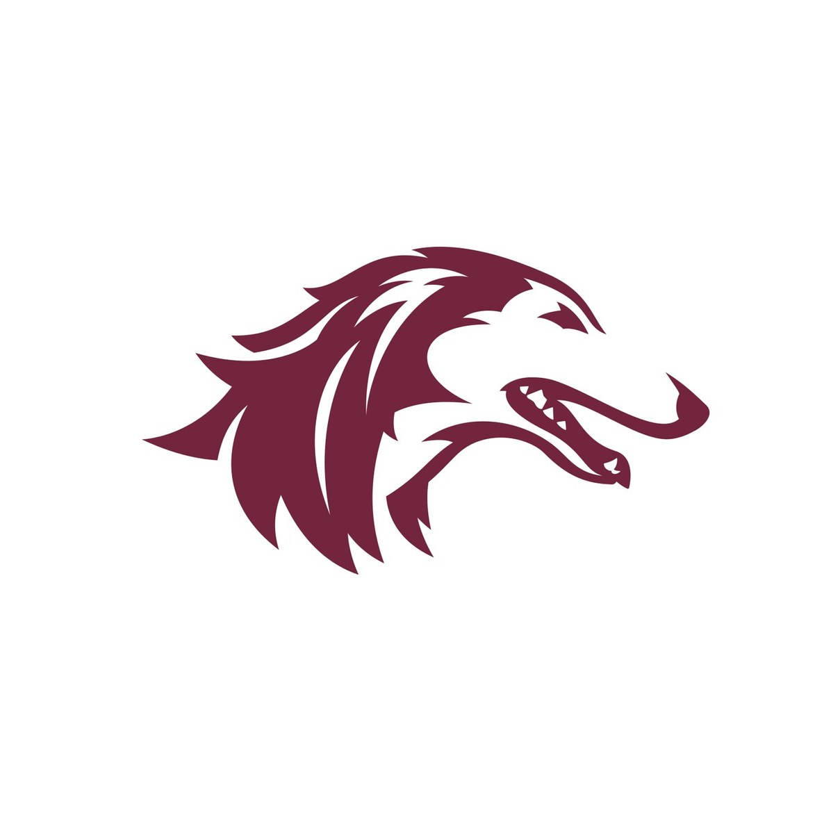 Southern Illinois University Carbondale