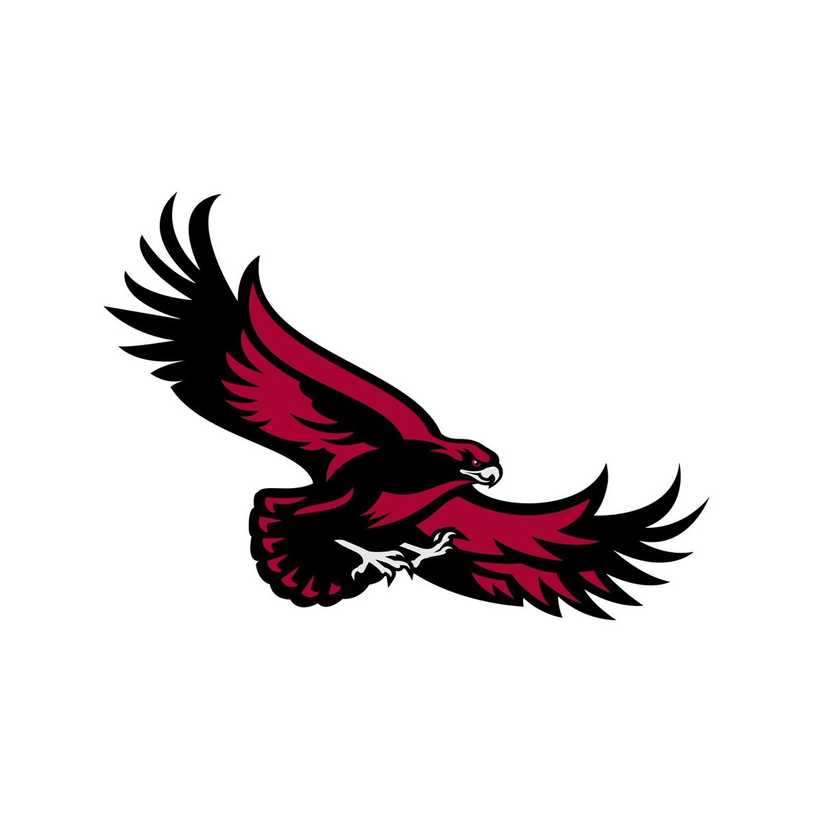 Saint Joseph's University