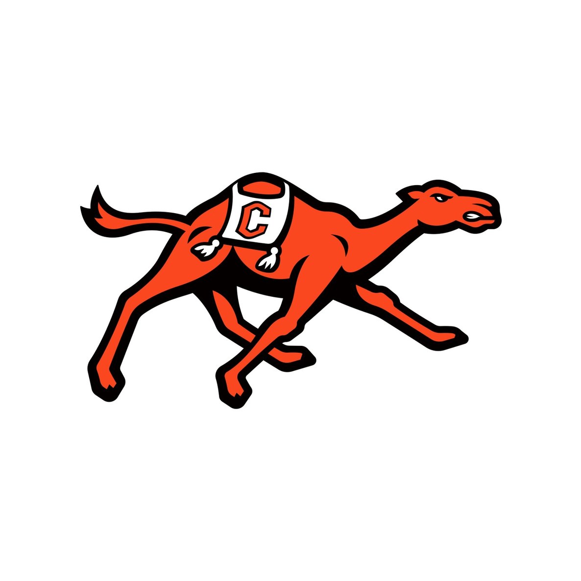 Campbell University