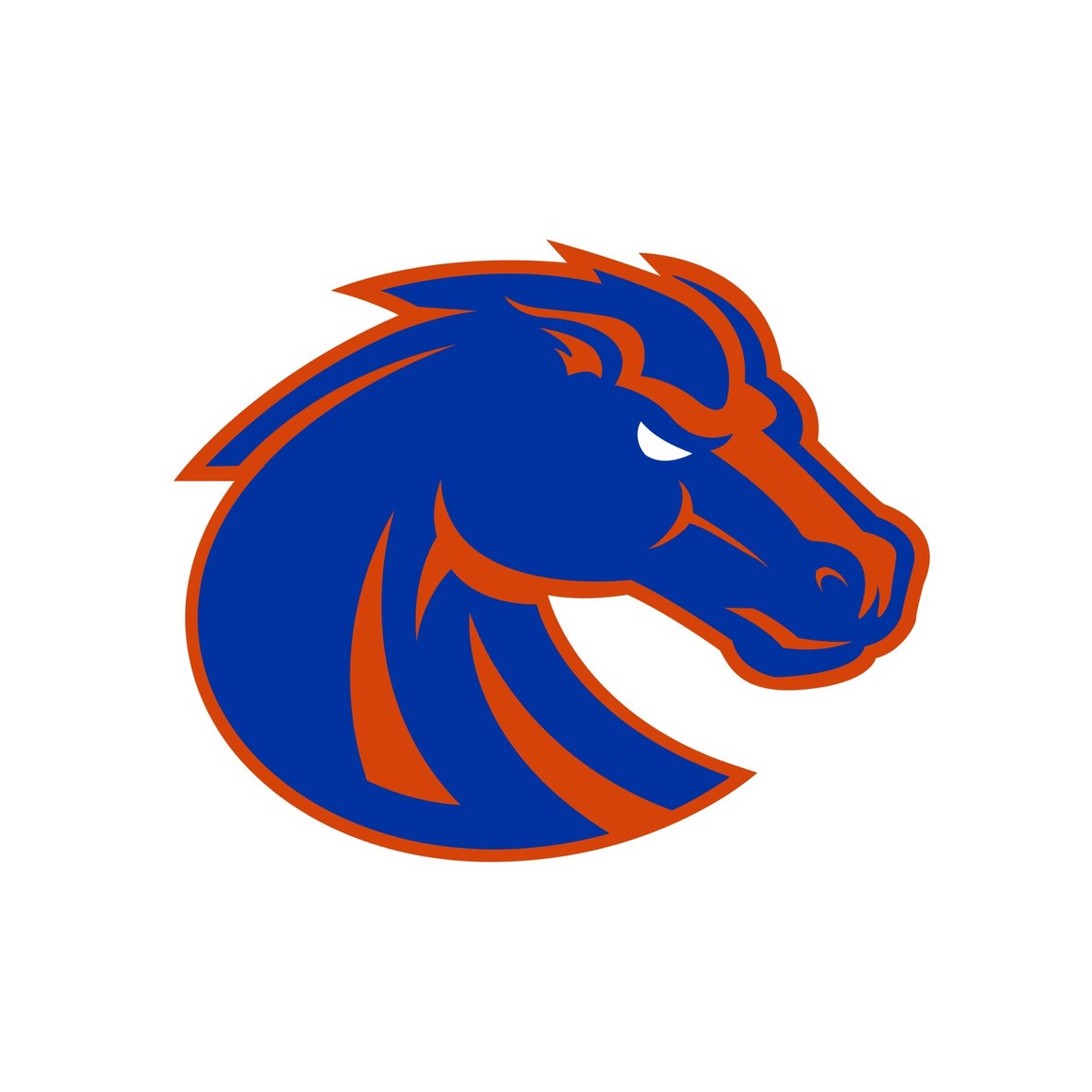 Boise State University