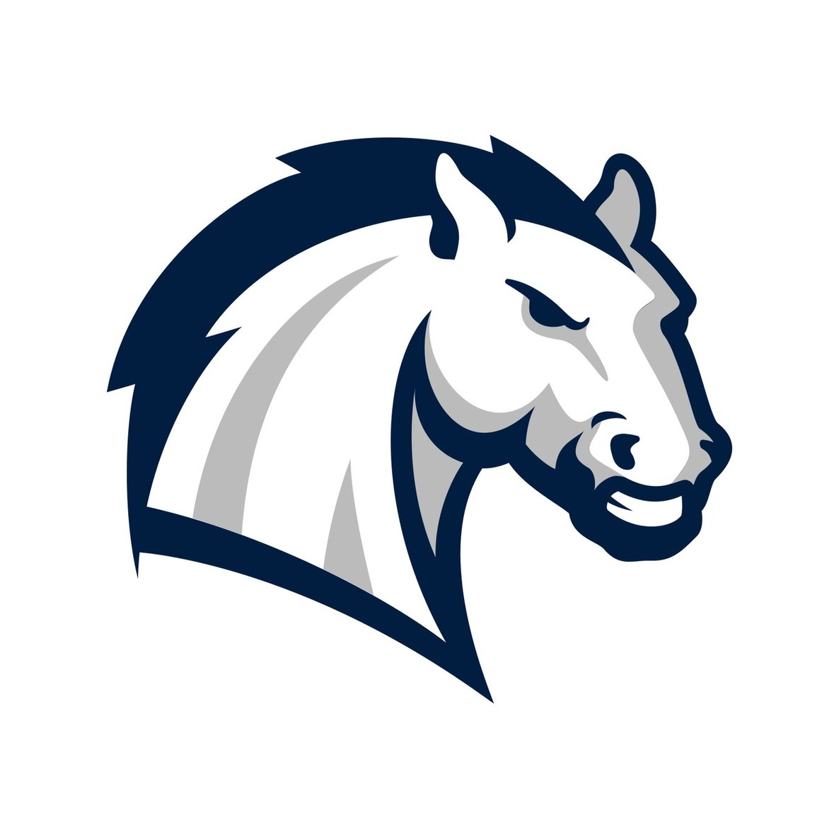 Hillsdale College