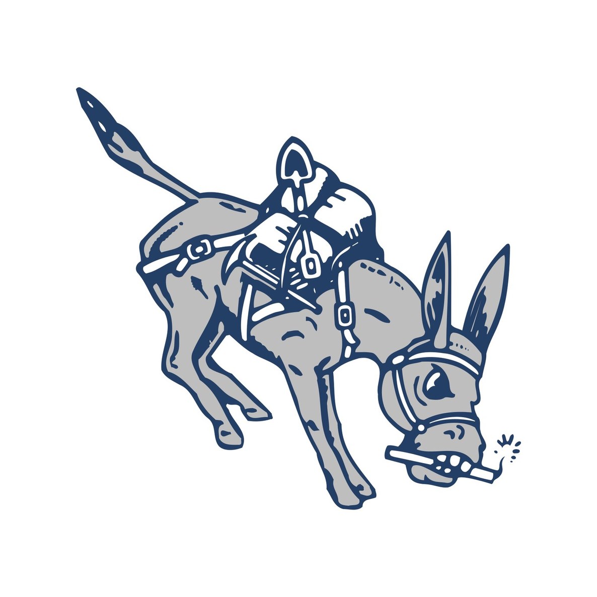 Colorado School of Mines