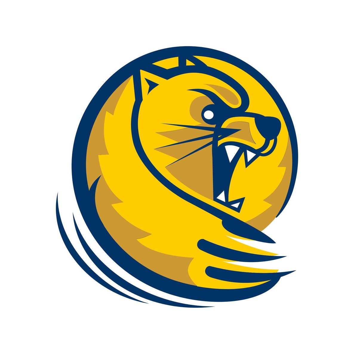 Lander University