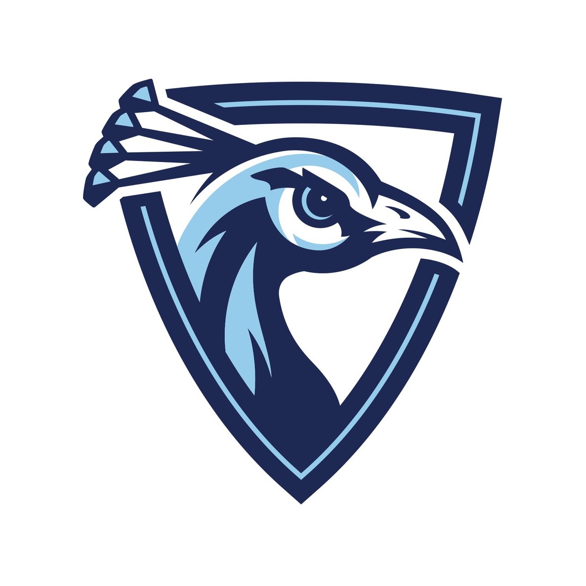 Upper Iowa University
