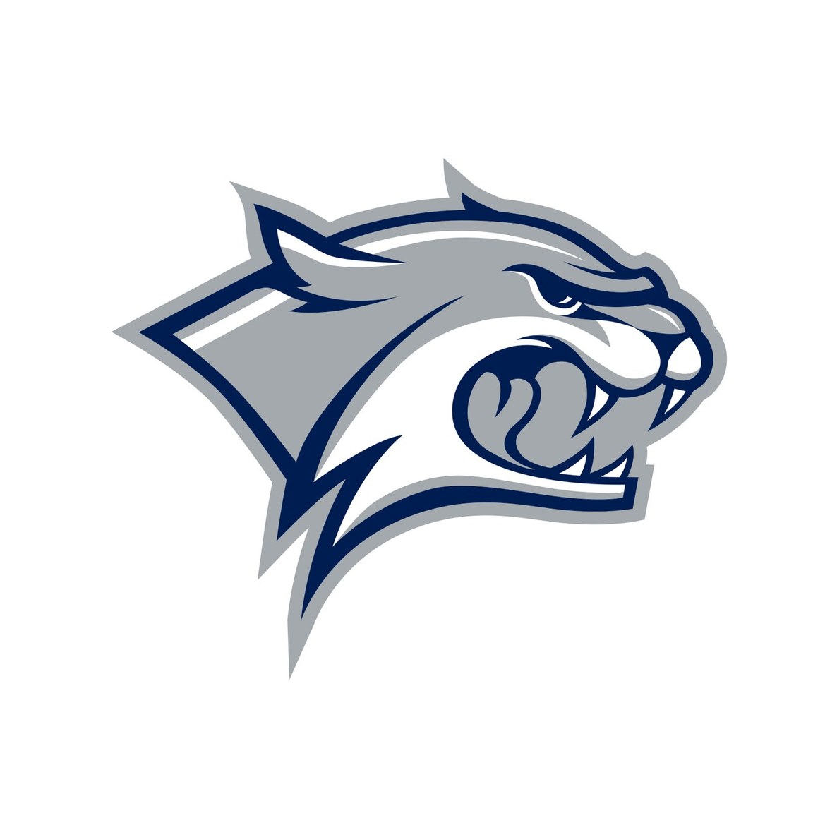 University of New Hampshire