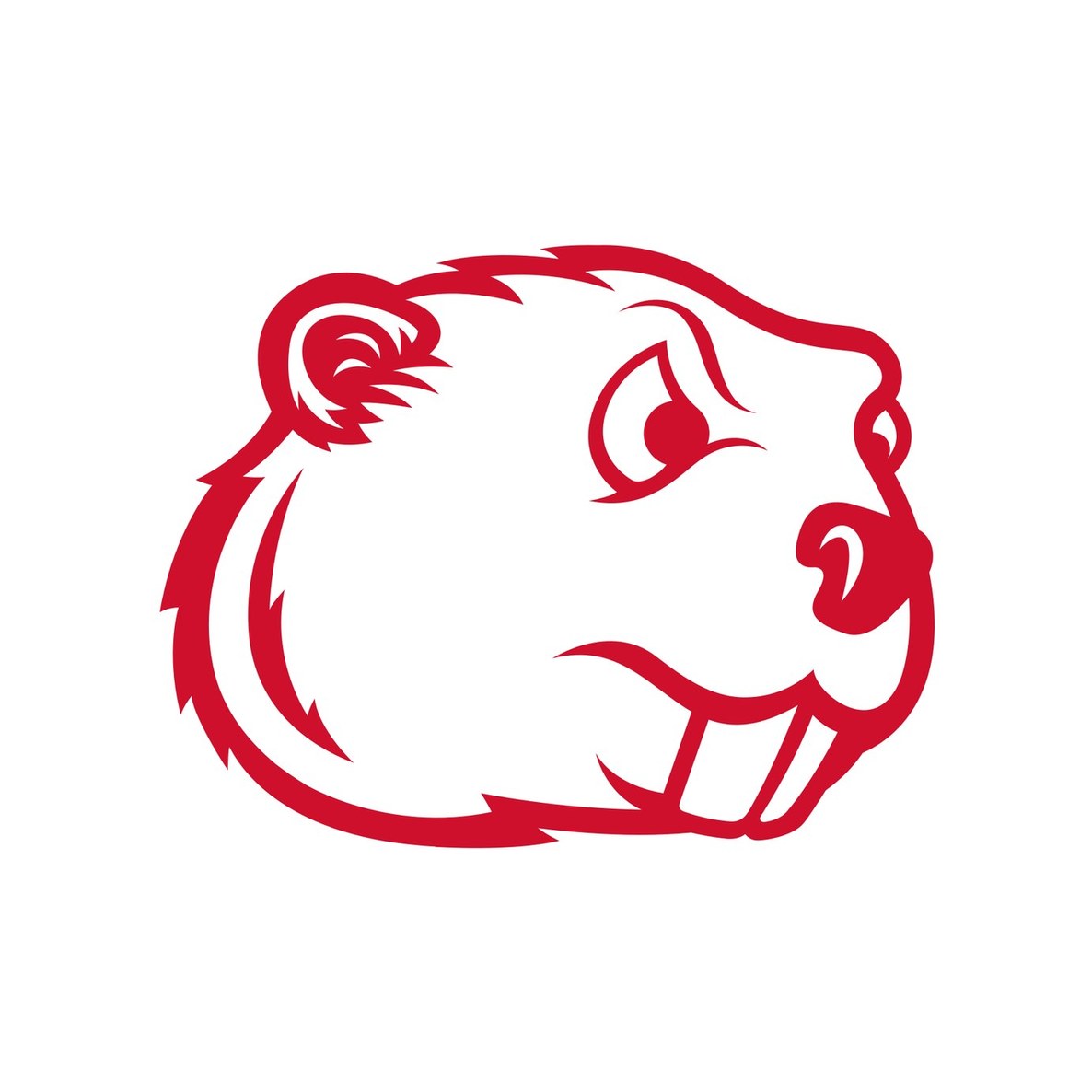 Minot State University