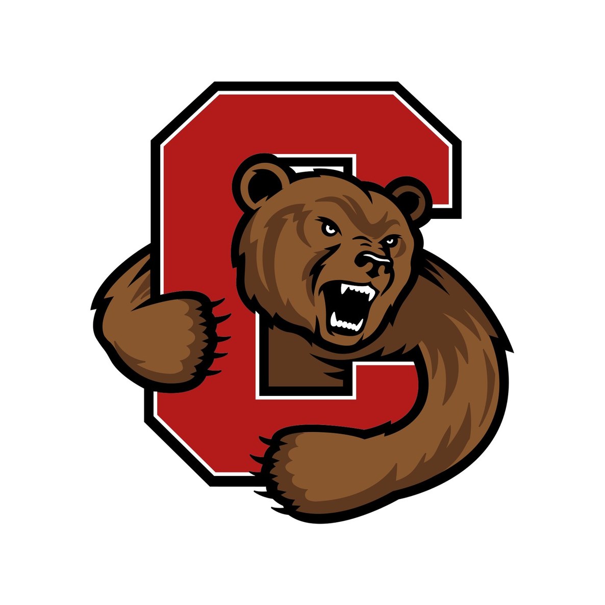 Cornell University