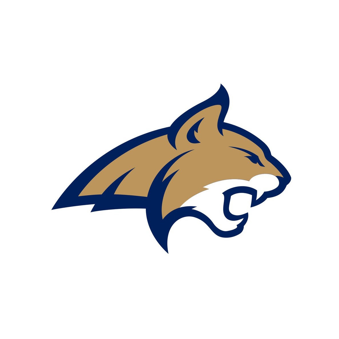 Montana State University