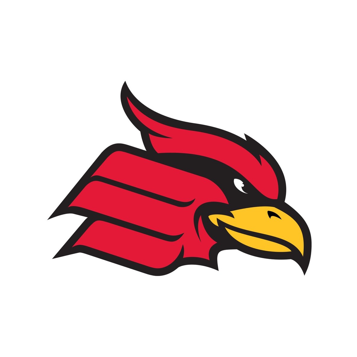 Wheeling University