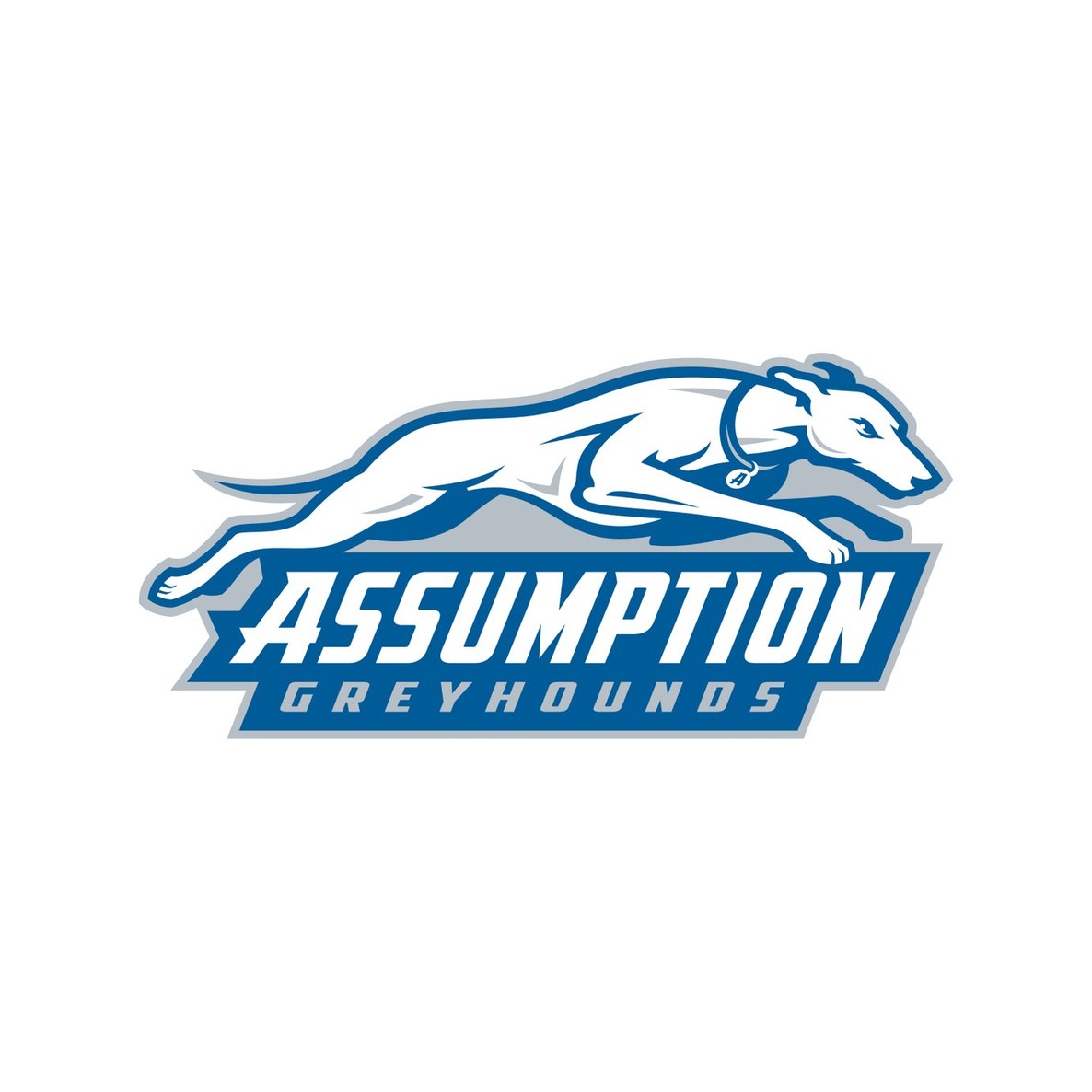 Assumption University