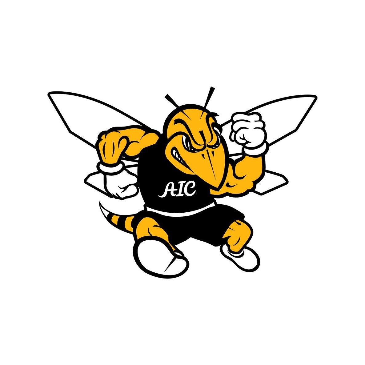 American International College